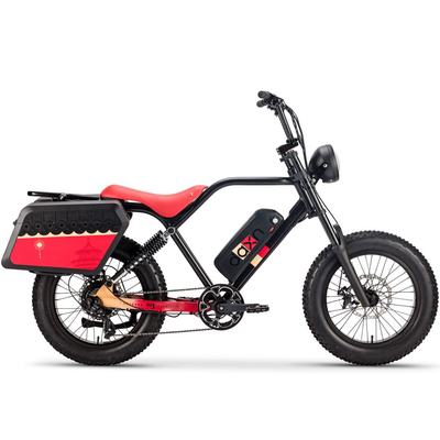 성인들을 위한 250W 750w 엘에크트리슈 피에트스 자전거 배터리 48v 20AH 광폭 타이어