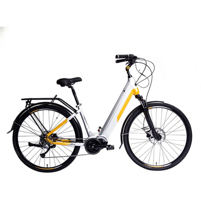 200 와트 12 인치 전기 자전거 휴대용 전지 300 파운드 무게 제한 30 Km/H