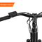라이트 그린 태국 일렉트릭 시티 자전거 16.5AH 리튬 배터리 250w
