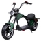 성인들 길 합법적 시속 마일 40 50 55를 위한 성인들 전기 소형 오토바이를 위한 작은 전기적 스쿠터 오토바이