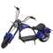 성인들 길 합법적 시속 마일 40 50 55를 위한 성인들 전기 소형 오토바이를 위한 작은 전기적 스쿠터 오토바이