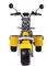 EEC 시티코코 세발 자전거 3 휠 전기적 스쿠터 2000w 1000w 1500w