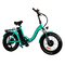 500w 350w 전기 접이식 자전거 20 인치 16 인치 작은 폴드형 전기적 자전거를 압축하세요