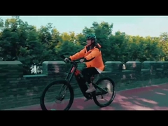 MB-01 BICICLETA ELETRICA 풀 서스펜션 전기 자전거 미드 업소버 27.5인치 전기 자전거 250w