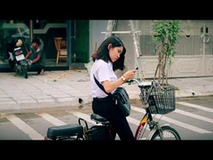 250w 저가 48v LCD 디스플레이 도시 전기 먼지 자전거 EU 20인치 36V 전기 자전거