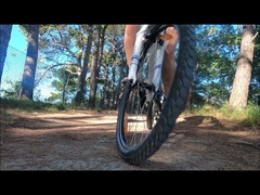 Rothar Leictreach EU 창고 고품질 전기 자전거 가격 낮은 36v 배터리 전기 자전거